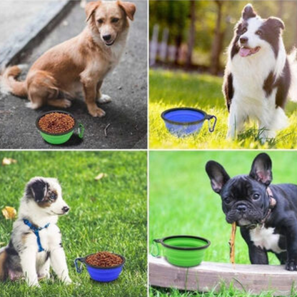 2 Pack Dog Cat Portable Collapsible Pet Bowl Water Food Dish Travel Foldable