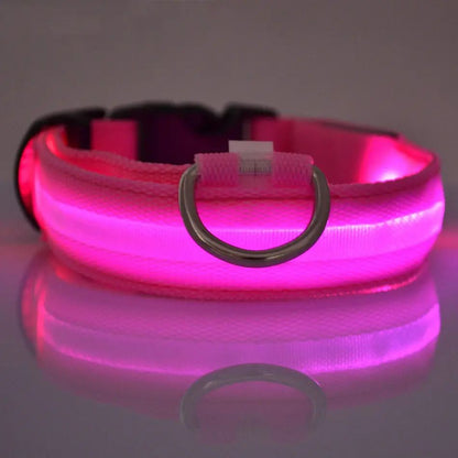 Dog Collar LED Rechargeable Glow in the Dark Multi Mode Blinking or Solid Safety