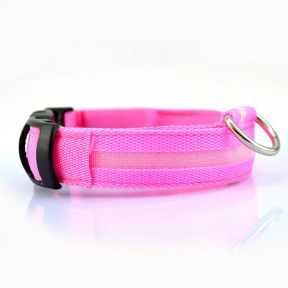 Dog Collar LED Rechargeable Glow in the Dark Multi Mode Blinking or Solid Safety