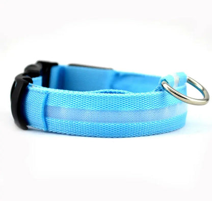 Dog Collar LED Rechargeable Glow in the Dark Multi Mode Blinking or Solid Safety